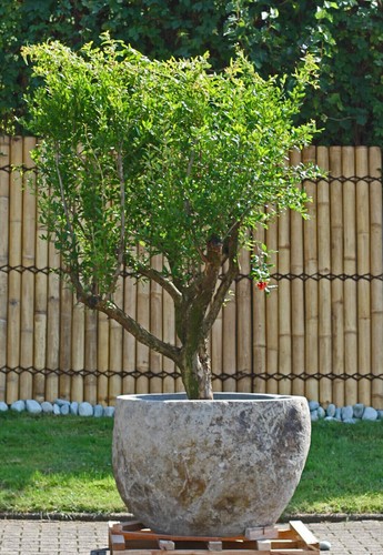 Handgefertigter xxl garten - handgefertigter,